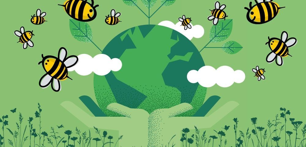 Wir engagieren uns für den Klimaschutz und pflanzen 10.000 Bäume in Aufforstungsprojekten in Afrika.
